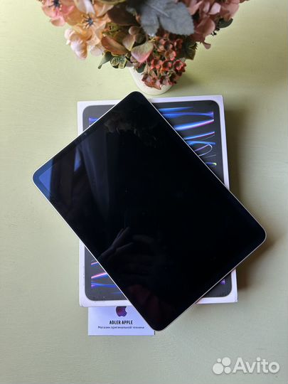 iPad pro 11 2022 128gb