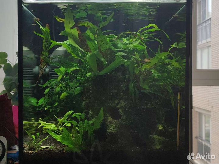 Аквариум под ключ