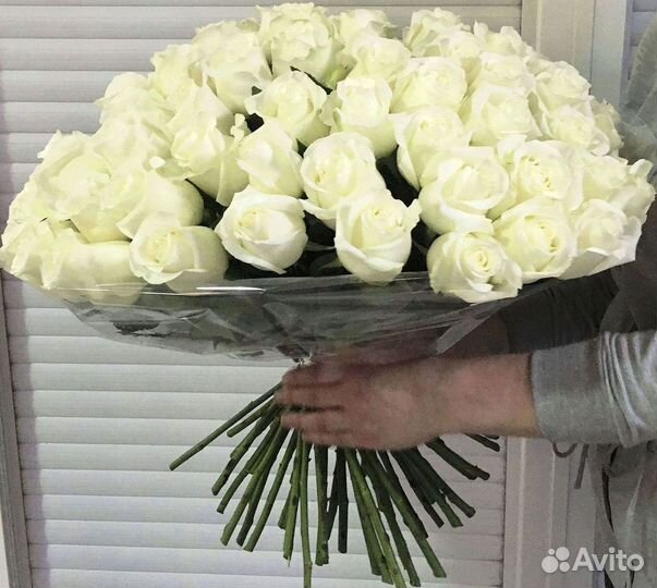 Высокие розы