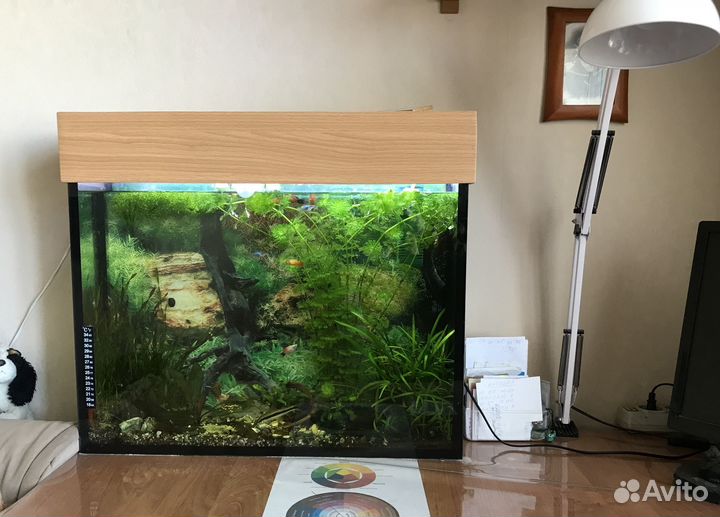 Аквариум