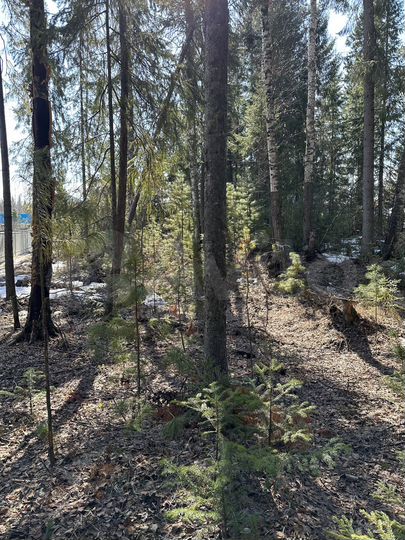 Участок 20 сот. (ИЖС)