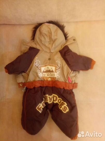 Одежда для собак