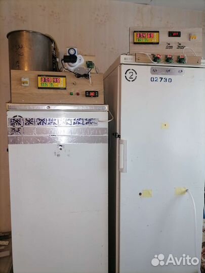 Инкубатор для яиц автоматический бу