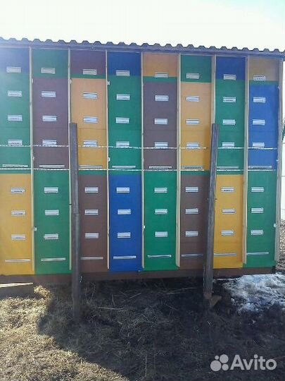 Пчелопавильон берендей