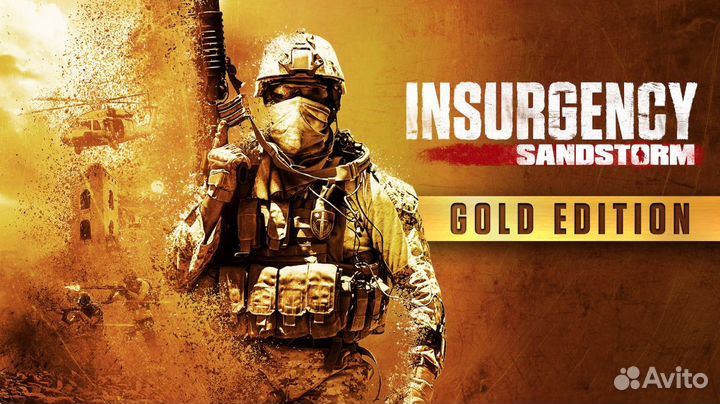 Insurgency: Sandstorm Gold Edition на PS4 и PS5