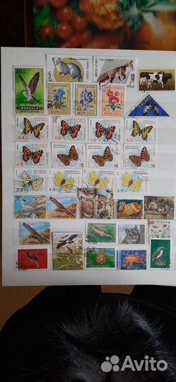 Альбом иностранных марок