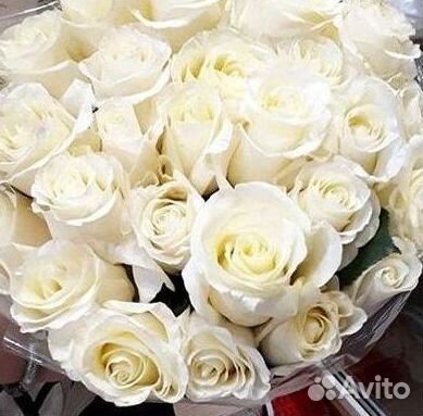 Высокие Розы с Доставкой