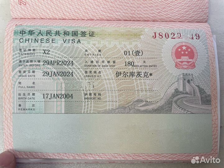 Виза в Китай. Без предоплаты. Удалённо