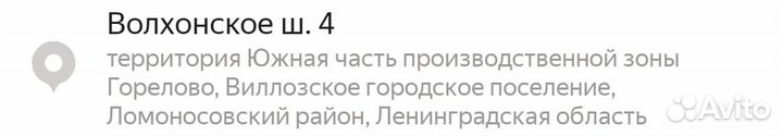 Найдена молодая кошечка/окрас:трёхцветная