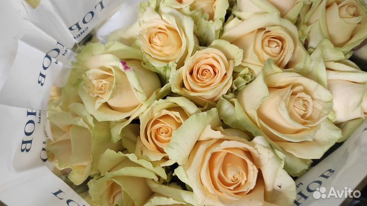Розы розница опт букеты доставка