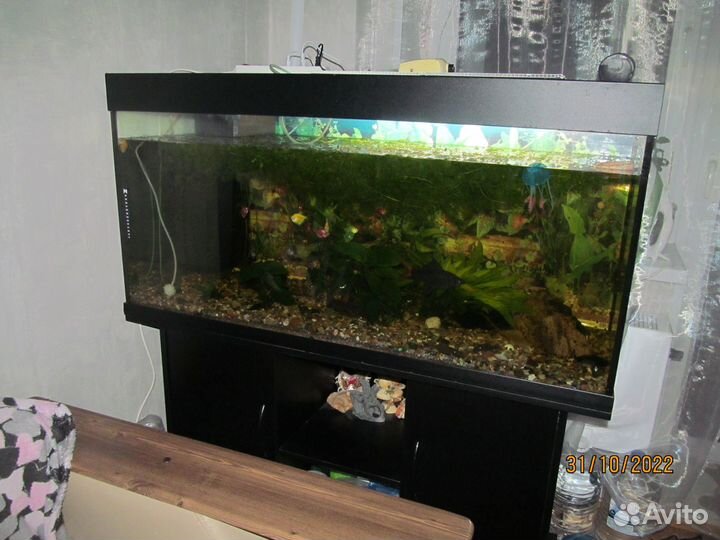 Аквариум