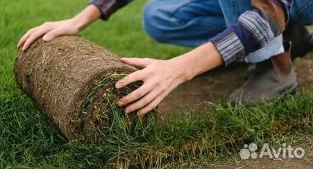 Газон рулонный гарантия
