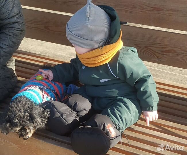 Догситтер,зооняня