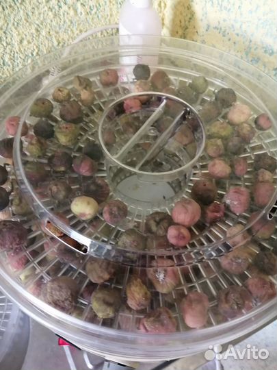 Инжир сушеный