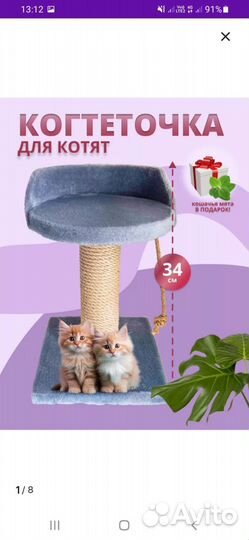 Вольер для котят, миски, когтеточка, корм, лоток