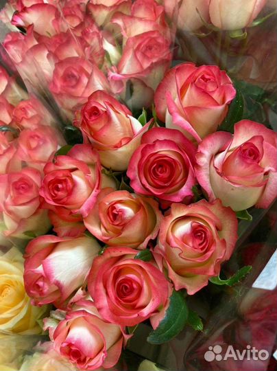 Цветы розы букет