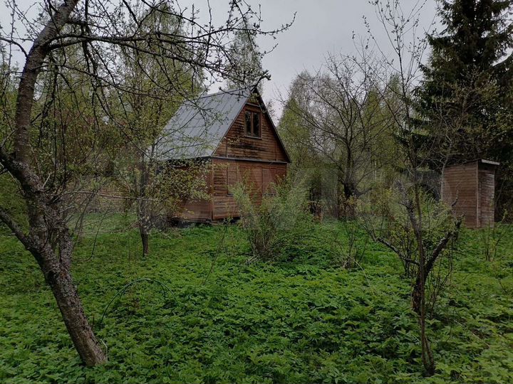 Участок 24,2 сот. (СНТ, ДНП)