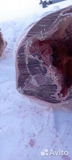 Мясо свежемороженое - оленина (в ассортименте)