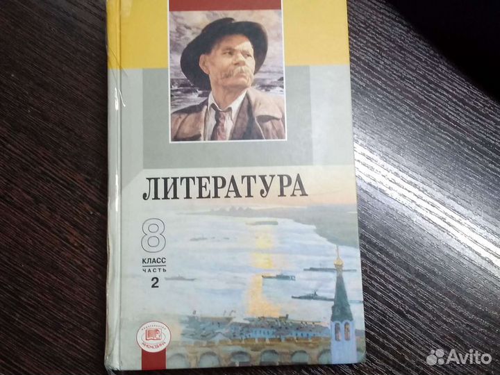 Литература 8 класс 2 часть