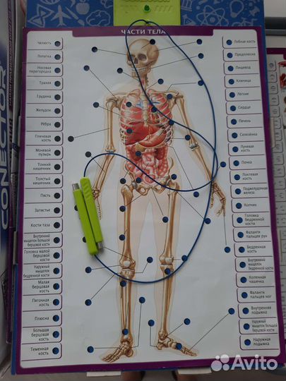 Conector Энциклопедия