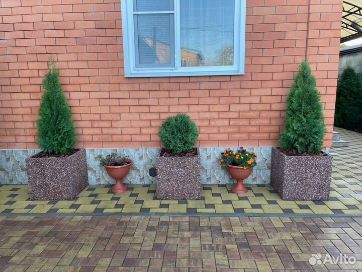 Бетонный вазон спирея