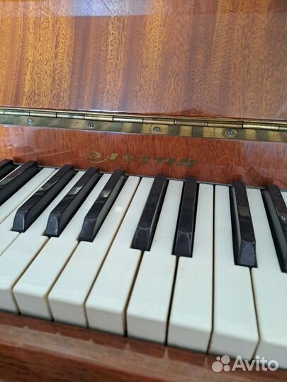 Фортепиано Элегия (1969)