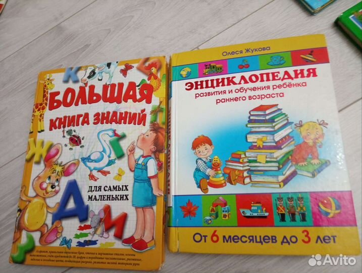 Энциклопедия развития Жукова, Книга знаний