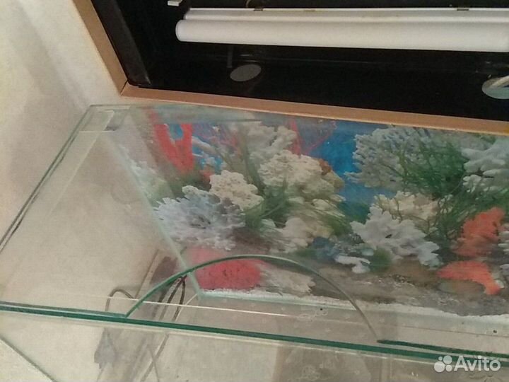 Стекло для Аквариума размером 25*50 новое
