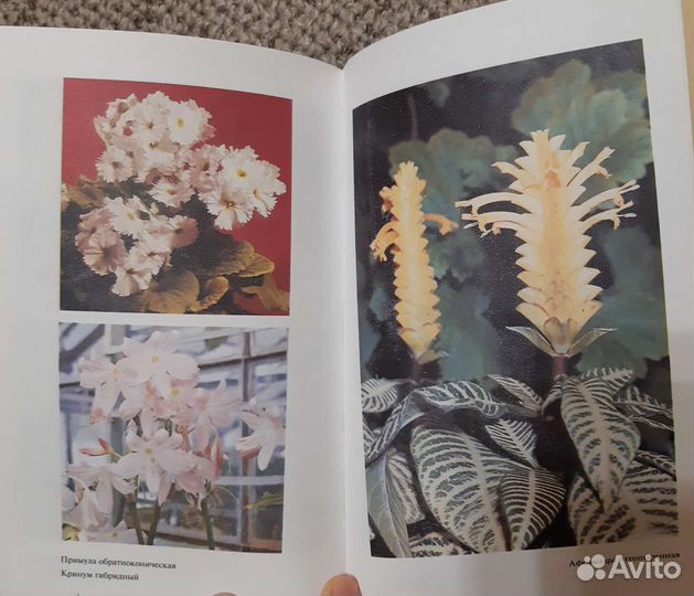 Книги по цветоводству