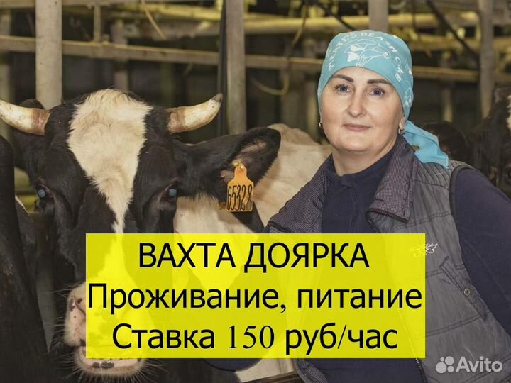 Дояр вахта с питанием/ проживанием