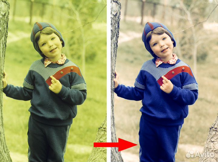 Сканирование фото и плёнок. Оцифровка видео/аудио