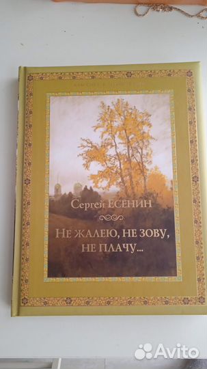 Холли Вебб. про котят, про щенят. Есенин