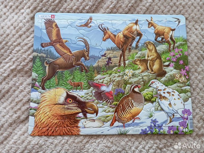 Пазлы Larsen