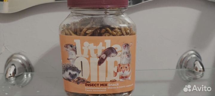 Насекомые для грызунов