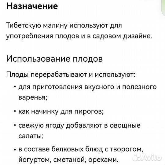 Тибетская малина саженцы