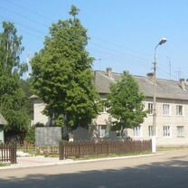 1-к. квартира, 29,1 м², 1/2 эт.