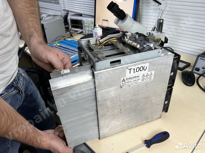 Ремонт асик майнеров Avalon (Авалон) Иркутск