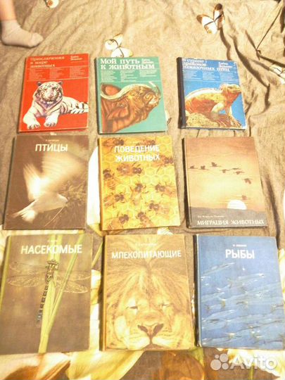 Серия книг о животных