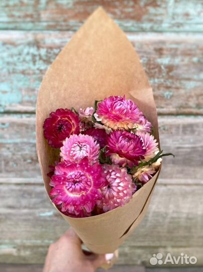 Гелихризум сухоцветы