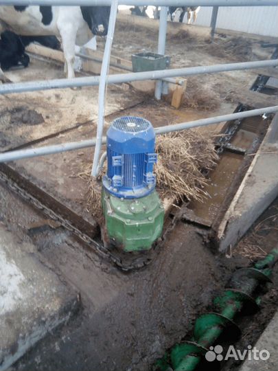 Система навозоудаления