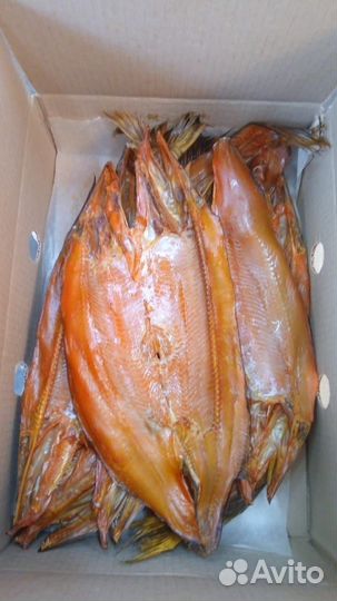 Северная рыба, пелядь, щука, язь, сырок, терпуг