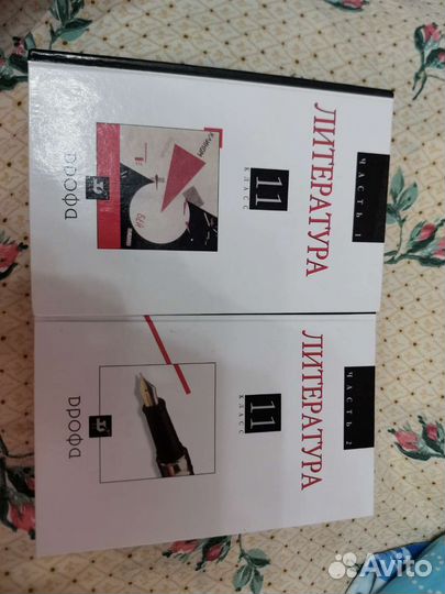 Литература 11 класс Агеносов