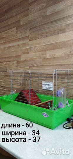 Клетка для грызунов бу