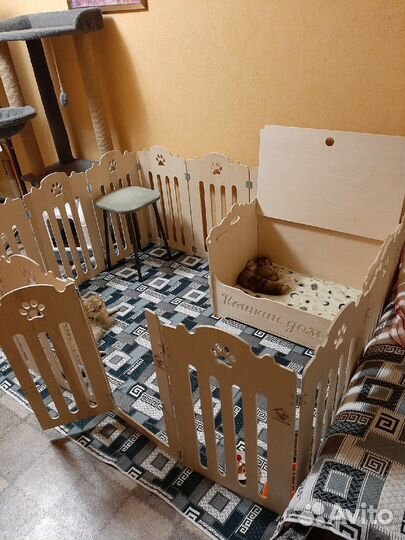 Клетка вольер для кошек загон