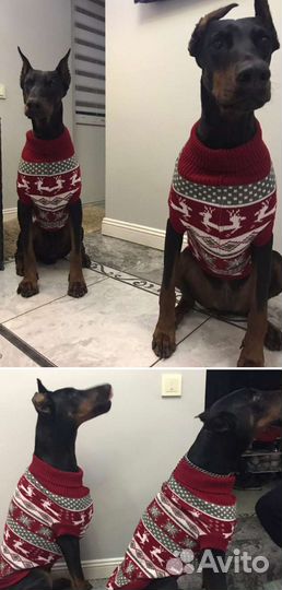Свитер для собаки