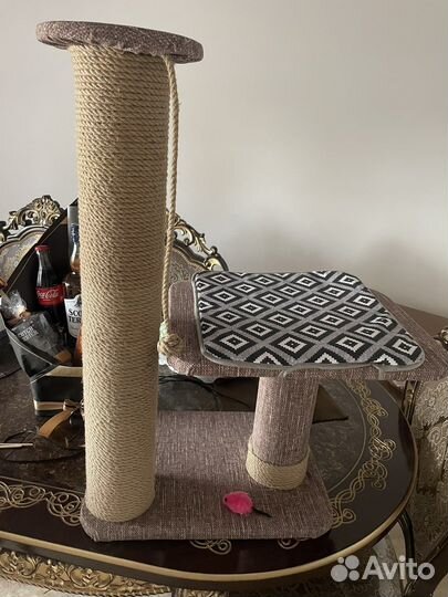 Когтеточка