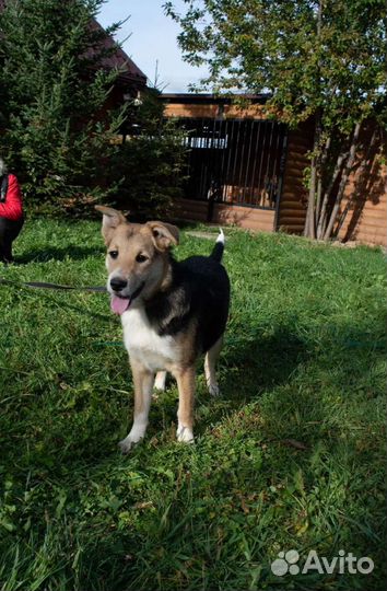 Годовалая девчуля