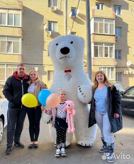 Белый медведь поздравление аниматор на праздник