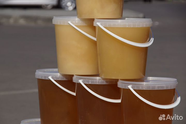 Свежий мёд сентябрь 2023 - доставка бесплатная