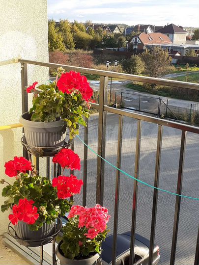 1-к. квартира, 46,8 м², 3/3 эт.